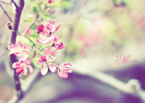 若现在就觉得失望无力,未来那么远你该怎么扛 (6)