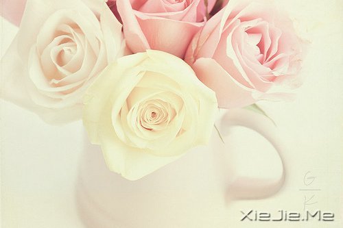 一心一意,是世界上最温柔的力量 (3)