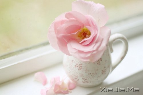 �����ӹ���ʫ���򵥶����� (3)