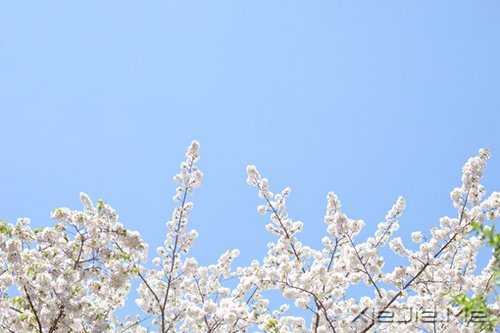 ����������������� (8)