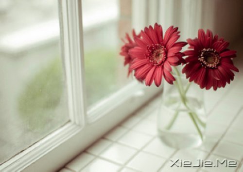 有的人你看了一眼,却惦念了一生 (9)