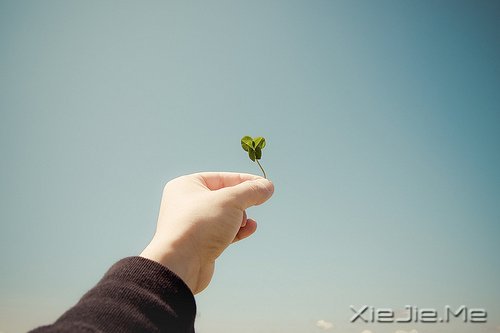 越努力,越幸运 (4)