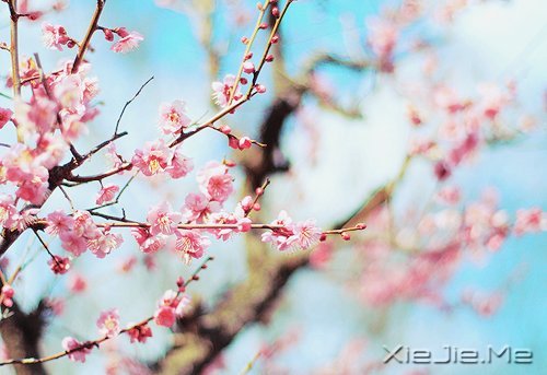 活得平和,才能在心里装下满满的幸福 (7)