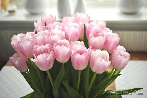 �ܶ�������Ƕ�����֪����ȴ������ (9)