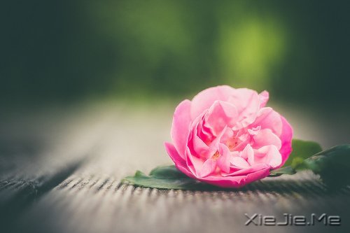 人生最清晰的脚印,往往印在最泥泞的路上 (9)