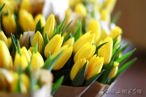 风雨的前方,那是彩虹的方向 (2)