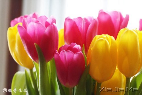 风雨的前方,那是彩虹的方向 (5)