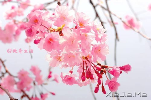 风雨的前方,那是彩虹的方向 (7)