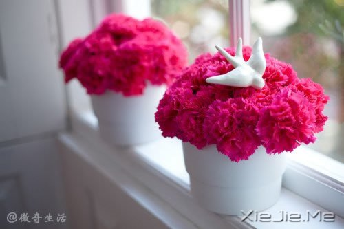 风雨的前方,那是彩虹的方向 (8)