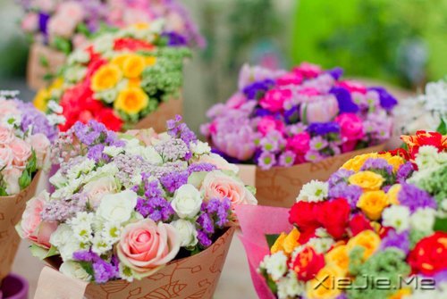 愿在我最美的时光,遇见最美好的你 (7)