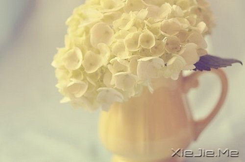 ��ν�Ҹ�������һЩ��֪������СƬ�� (2)