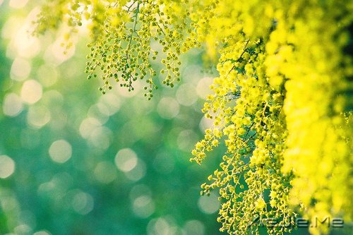 ��ν�Ҹ�������һЩ��֪������СƬ�� (6)