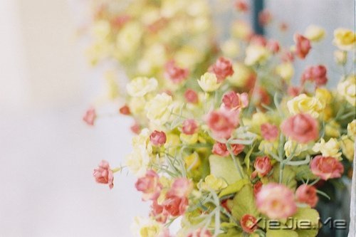 ����������ʹ�࣬˵��������л����� (6)