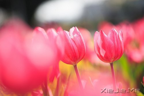 留下的,才是人生 (4)