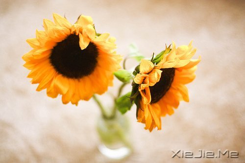 �簲������ʱ����Ե��ˣ�һ��Ҳ�Ͳ������ (9)