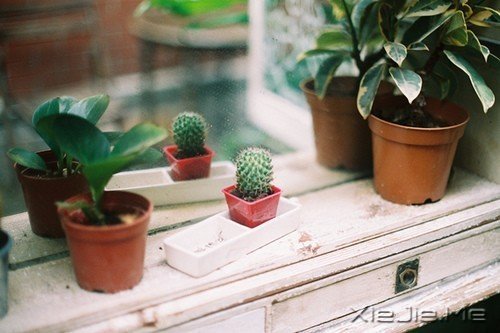 晚安心语:我有一种情绪,叫做莫名的忧伤 (10)