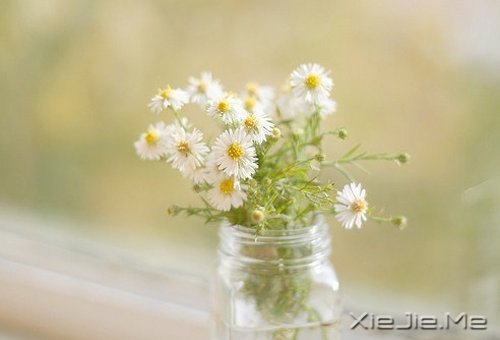 晚安心语:心复杂,世界就是迷宫 (2)