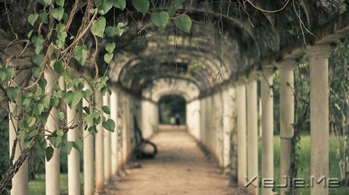 晚安心语:远处的是风景,近处的才是人生 (8)