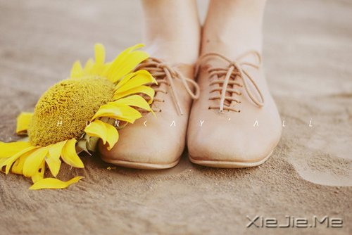 早安心语:控制好心情,生活才会处处祥和 (7)