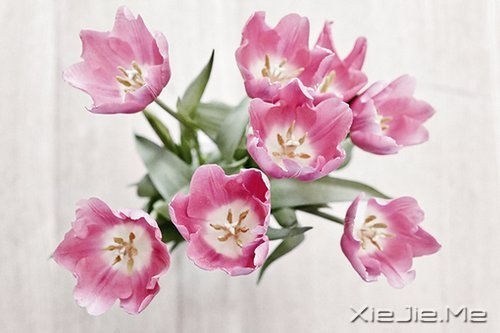 晚安心语:人不怕走在黑夜里,就怕心中没有光 (2)