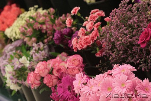 晚安心语:人不怕走在黑夜里,就怕心中没有光 (3)