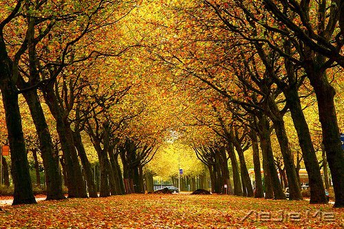 早安心语:过去的就过去了,世界依然美好 (8)