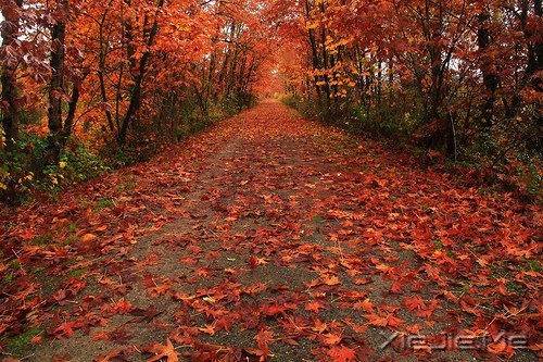 早安心语:过去的就过去了,世界依然美好 (11)