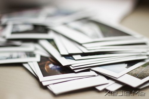 ���������������ڰ�����������ƻ� (8)