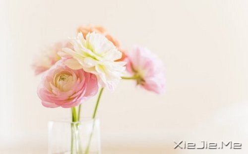 早安心语:我们总是在别人的故事里,流着自己的眼泪 (1)