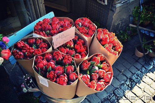 梦想很轻,却因此拥有飞向蓝天的力量 (4)