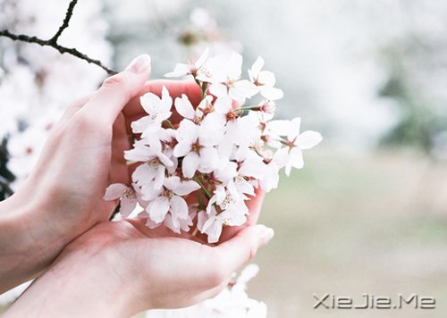 在时间的渡口,我们皆是过客 (1)