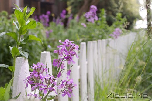 早安心语:你想要的,岁月都会给你 (3)