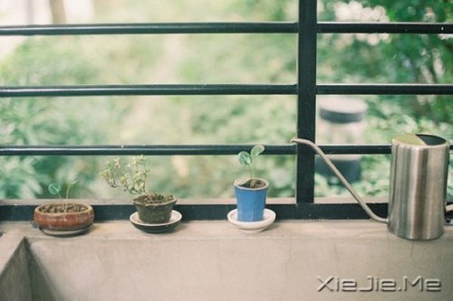 1 (7) 我正在努力变成自己喜欢的那个自己 (7)