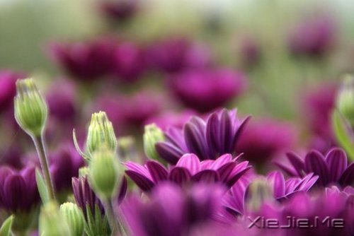 适当的放弃,是人生优雅的转身 (7)