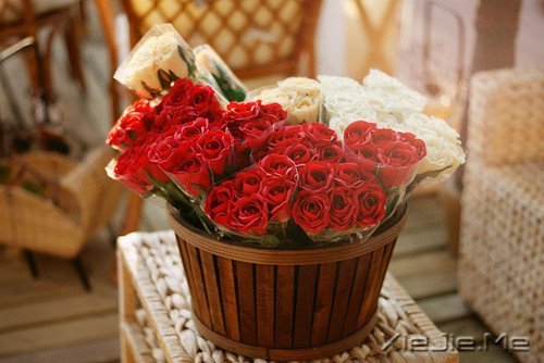 晚安心语:微笑着去等待,做最好的自己 (10)