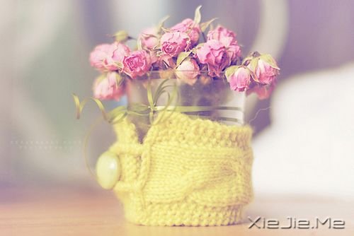 晚安心语:勇敢生活,微笑面对 (1)