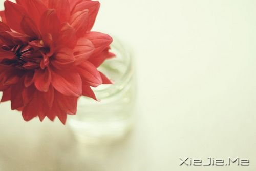 晚安心语:青春带着疼痛,却又义无反顾 (7)