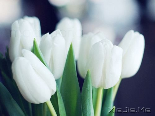 ��������������������������ȥ (10)