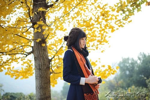 早安心语:只有全力以赴,梦想才能起飞 (10)