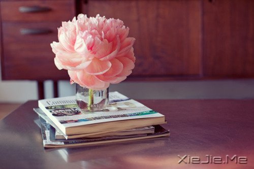 ���������û��ô����ڣ�����ô�� (9)