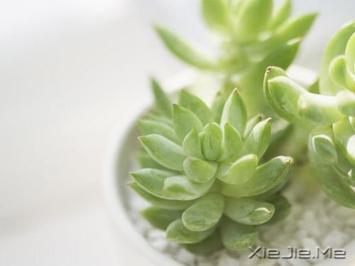 �簲���·���Ŀ��֣�ֻ���Լ�֪�� (2)