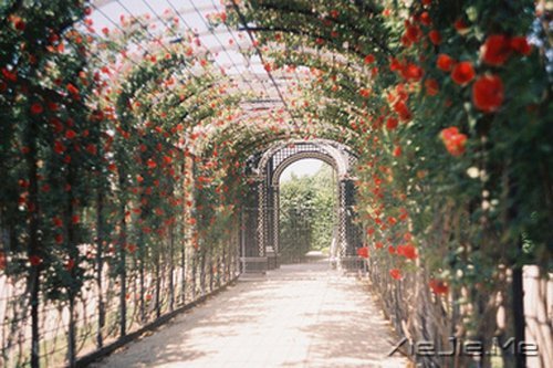 �簲�����Ϊ�Լ����Ϊ���ˣ���������� (6)