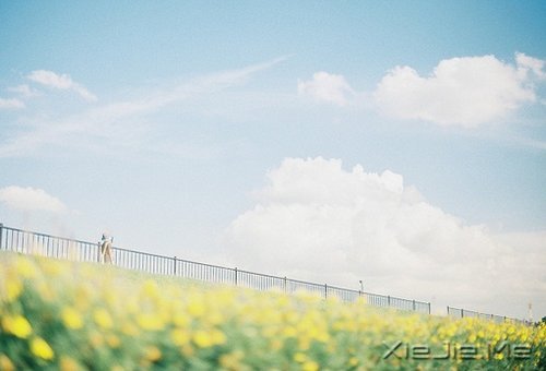 晚安心语:问心无愧,活着不累 (5)