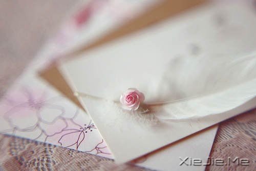 ��������������Ѿ���ȥ�����£�˭������Ϊ�� (5)