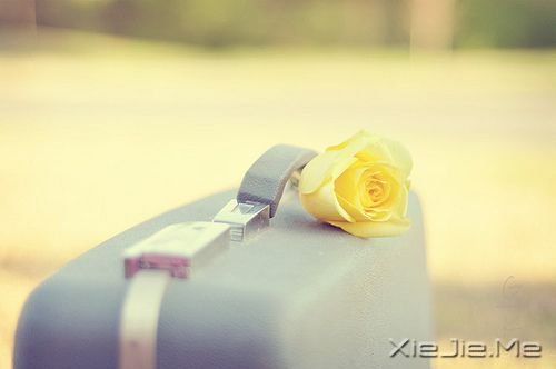 早安心语:智者嘴在心里,愚者心在嘴里 (8)