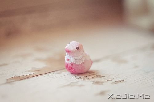 晚安心语:只要心跳还在,演出就没有落幕 (10)