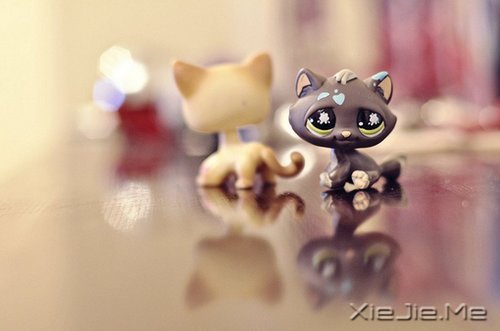 晚安心语:幸福就在身边,知足便是天堂 (3)