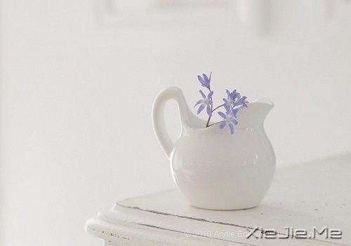 �簲�������Զ�������ϣ���ȥ��ֻ������ (4)