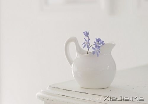 早安心语:千万个美丽的未来,抵不上一个温暖的现在 (7)