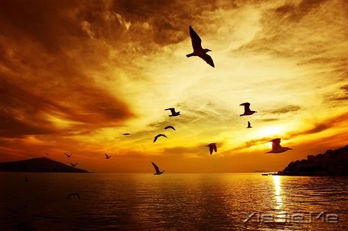 早安心语:童心未泯,是一件值得骄傲的事情 (4)